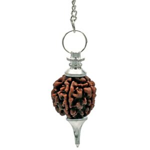 Rudraksha Pendel